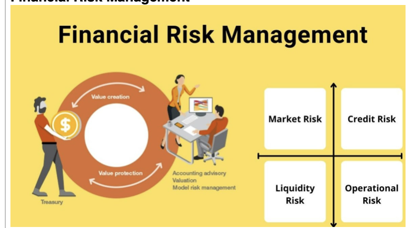 Financial Risk Management